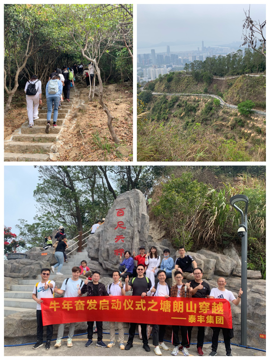 圖片3.png 圖片3.png