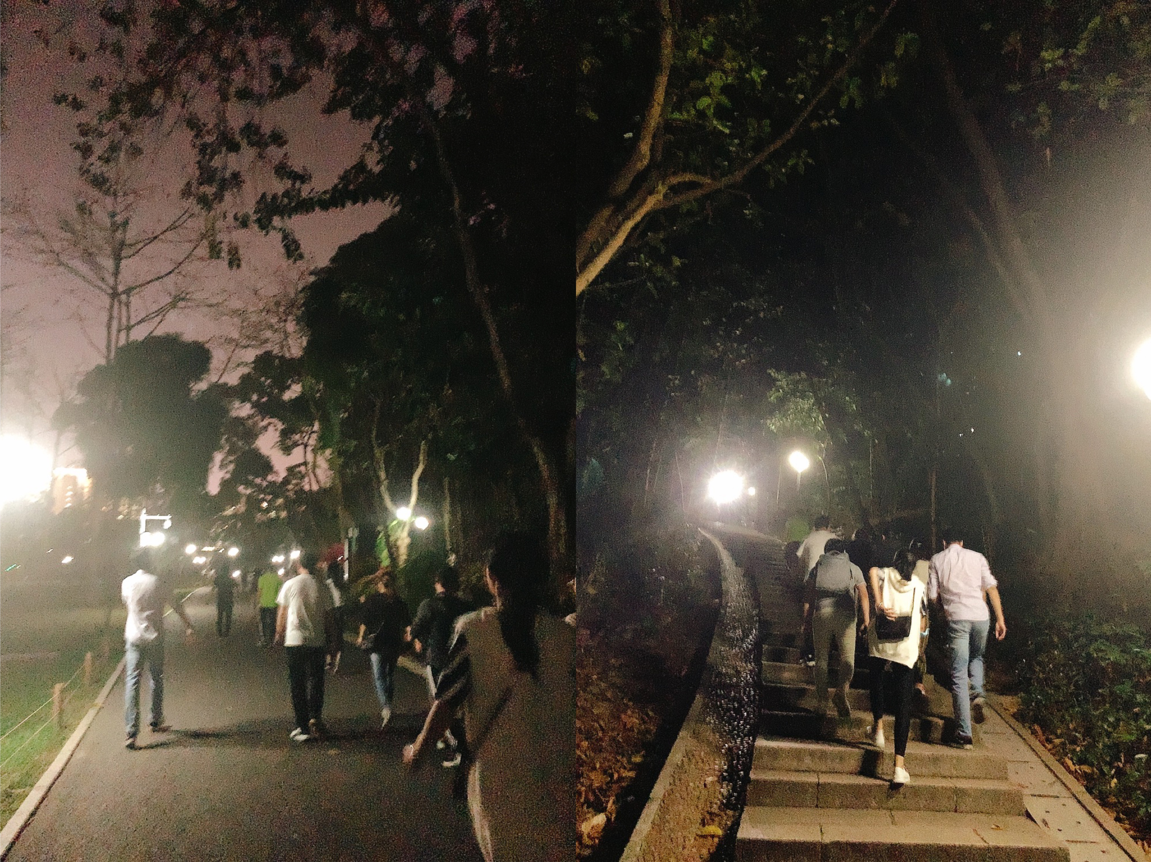 圖片5.png 圖片5.png